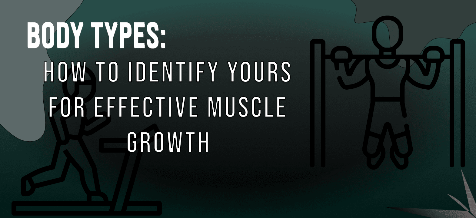 what is my body type